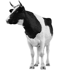 cow3g5